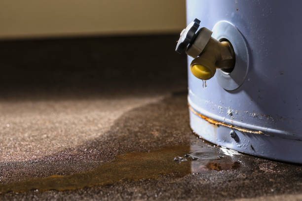 Best Carpet water damage restoration  in Monroe Manor, NJ