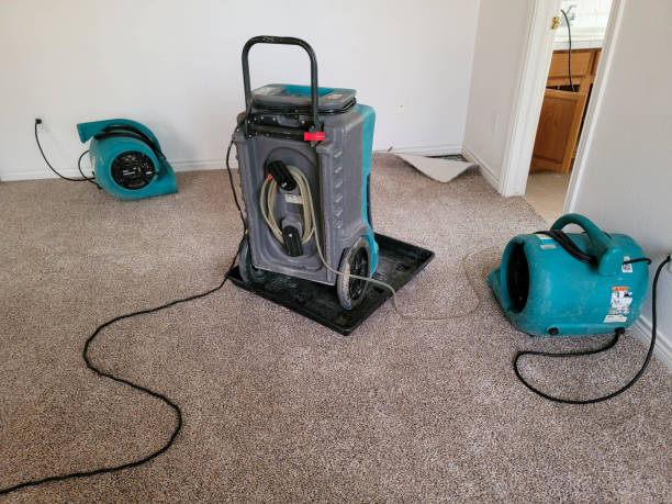 Reliable Monroe Manor, NJ Water damage restoration Solutions