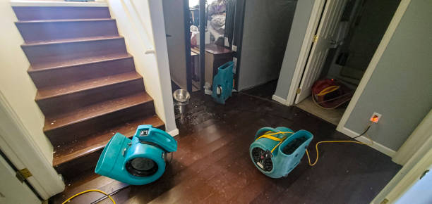 Best Carpet water damage restoration  in Monroe Manor, NJ