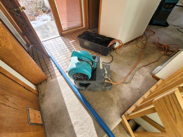 Best Water damage mitigation services  in Monroe Manor, NJ