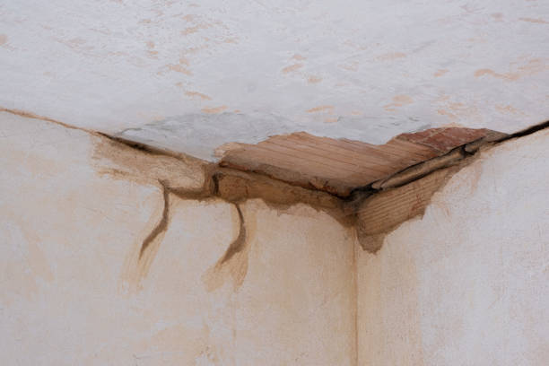 Best Flood damage cleanup  in Monroe Manor, NJ