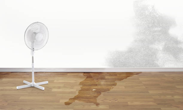 Best Local water damage restoration  in Monroe Manor, NJ