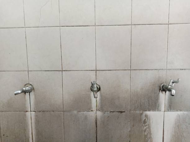 Best Local water damage restoration  in Monroe Manor, NJ