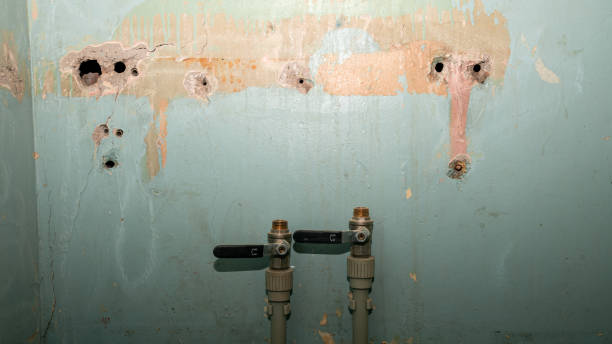 Water damage restoration insurance claims in Monroe Manor, NJ