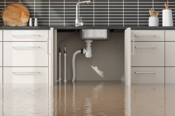 Best Commercial water damage restoration  in Monroe Manor, NJ